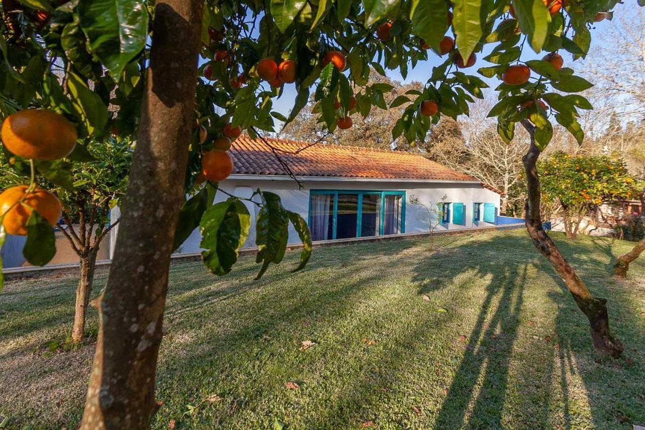 Vale Da Silva Villas - Homes 알버가리아아벨라 외부 사진